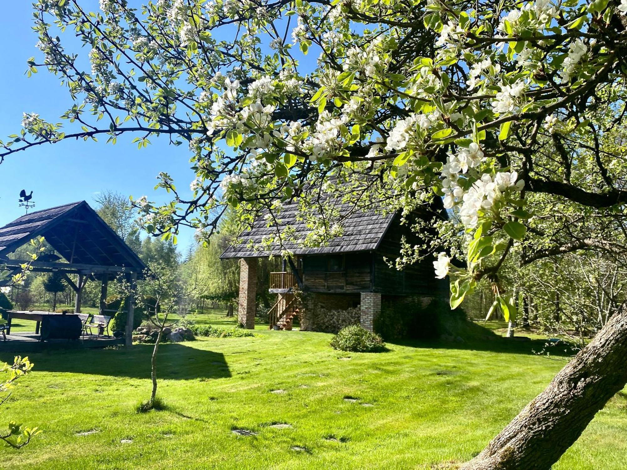 Griki Villa Kalniski Dış mekan fotoğraf