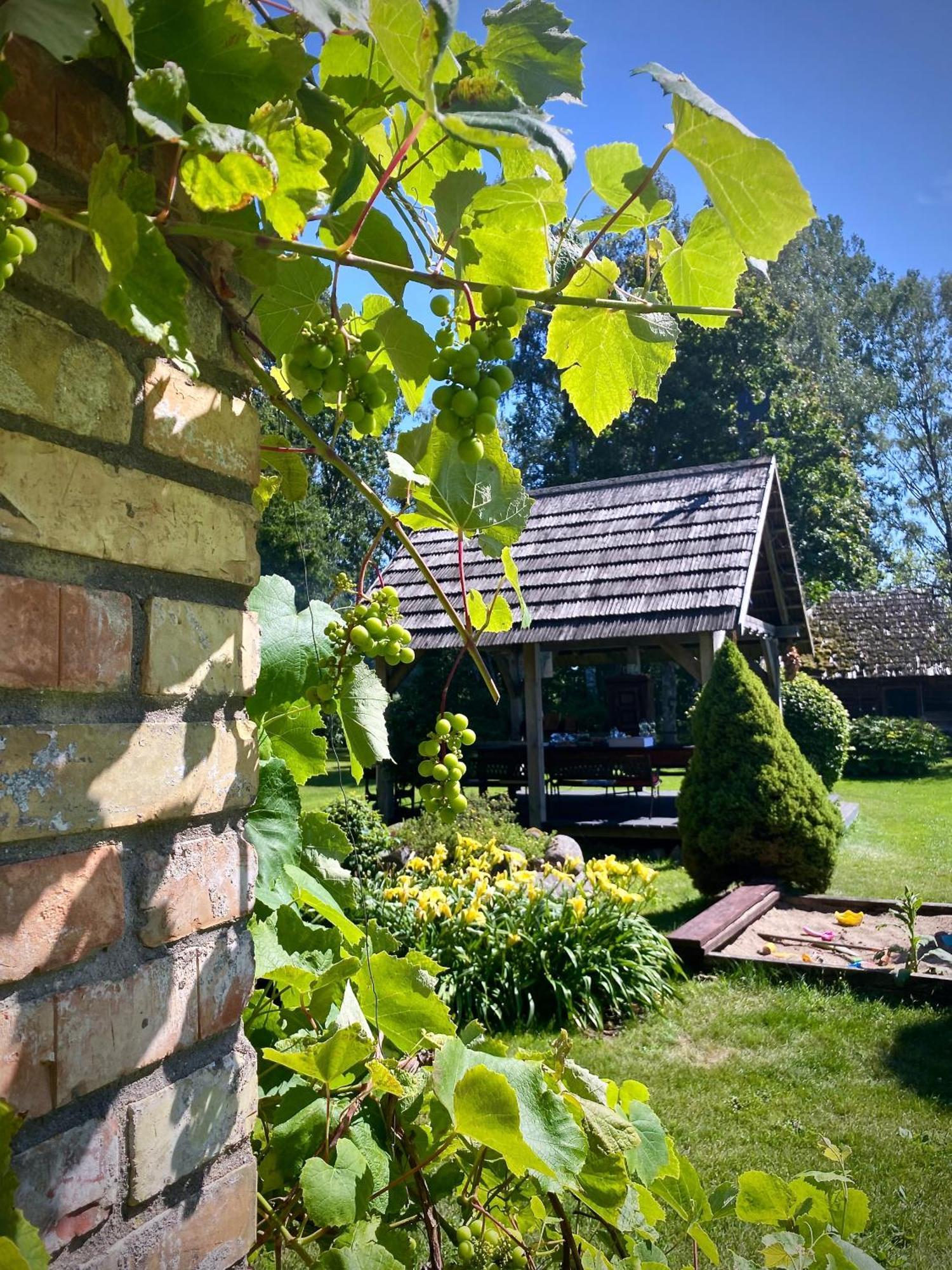 Griki Villa Kalniski Dış mekan fotoğraf